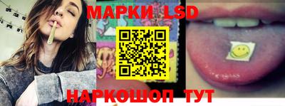 индика Рыбинск