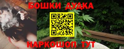 индика Рыбинск