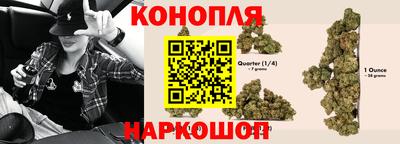 индика Рыбинск