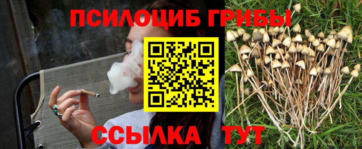 Псилоцибиновые грибы Psilocybe  Вход с VPN  Рязань 