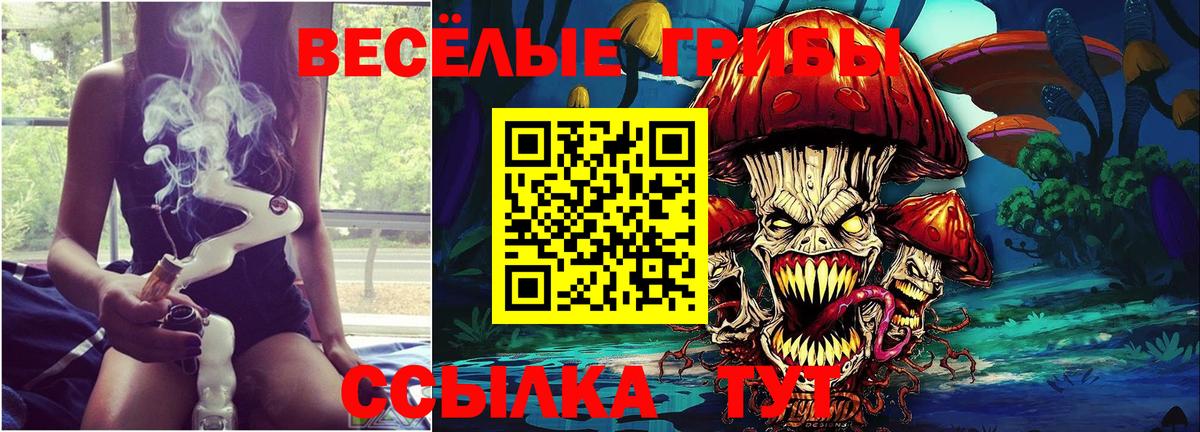 Псилоцибиновые грибы GOLDEN TEACHER Рязань